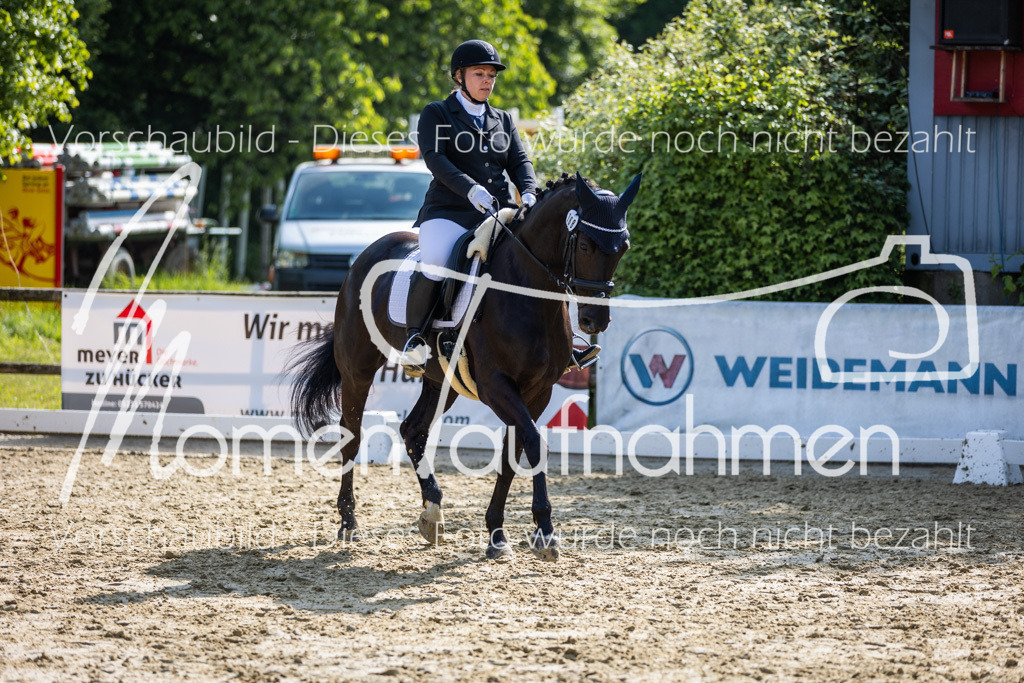 Donop24-A2-Dre-041 | MomenTaufnahmen Pferdesportfotos