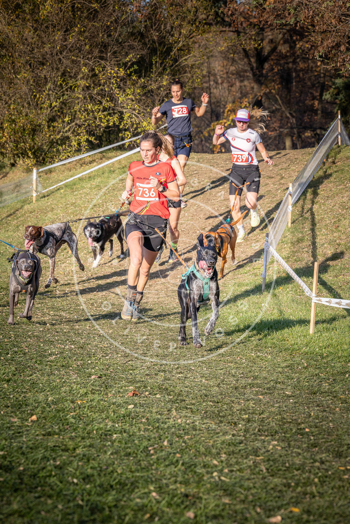 CaniXpix_0L8A9792 | Hundefotografie, Tierfotograf, Pfotenfotografie, Fotoshooting Hund, Hunde Portrait, Hundesport, Hundeportraits, Heideshooting, Hunde, Sportfotograf, Hundefotograf, Turnierhundsport, THS,  - Realisiert mit Pictrs.com