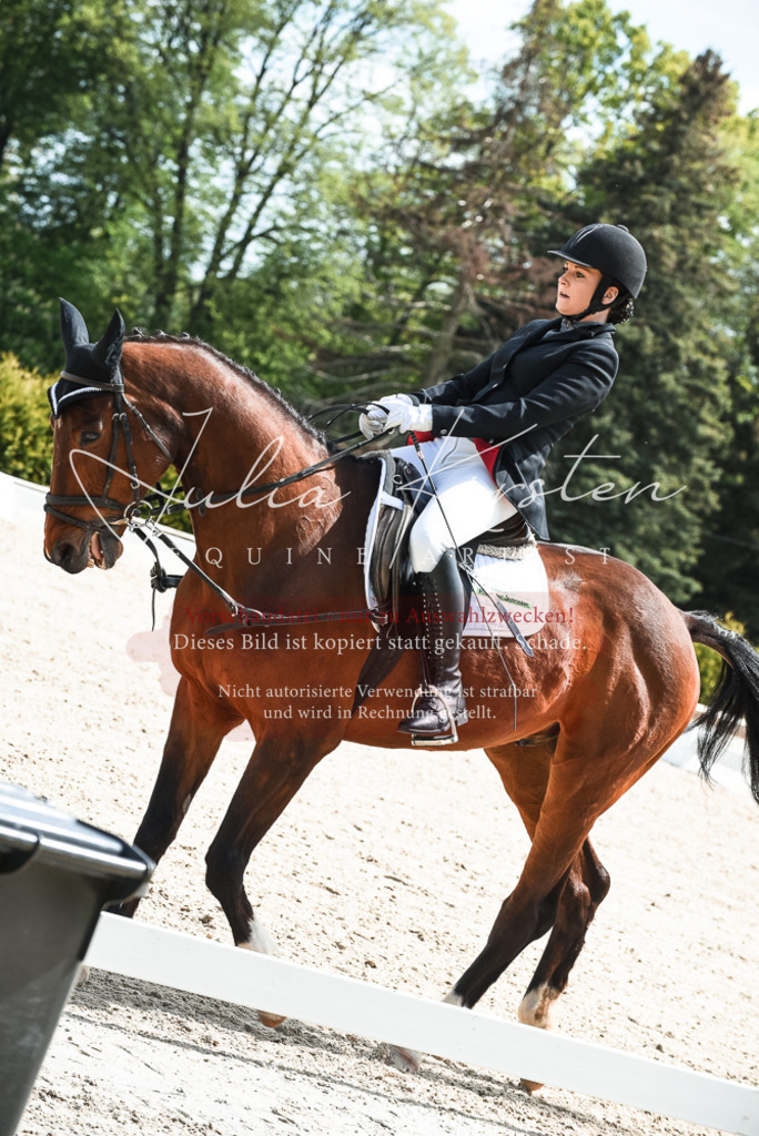20230518_JK-Röhrsdorf-11-0499 | Pferde- und Turnierfotografie in Westsachsen. Pferdeportraits, Auftragszeichnungen und intuitive Kunst.