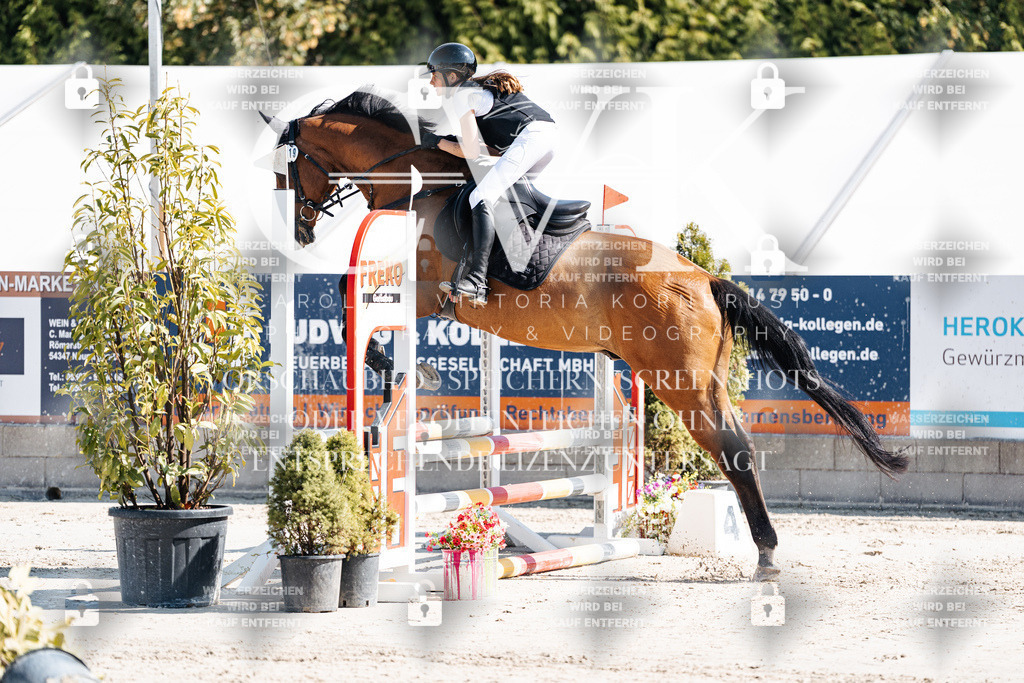 CK905144 | Turnierfotografie Pferdefotografie Trier Rheinland-Pfalz Pferdesport Reitsport Tierfotografie Sportfotografie Pferdevideo Pferdevideografie Equestrianvideography equestrianphotography  - Realisiert mit Pictrs.com