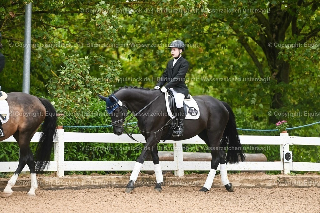 20230716_10-1_Reiter-WB Schritt - Trab - Galopp_0004 | equistock