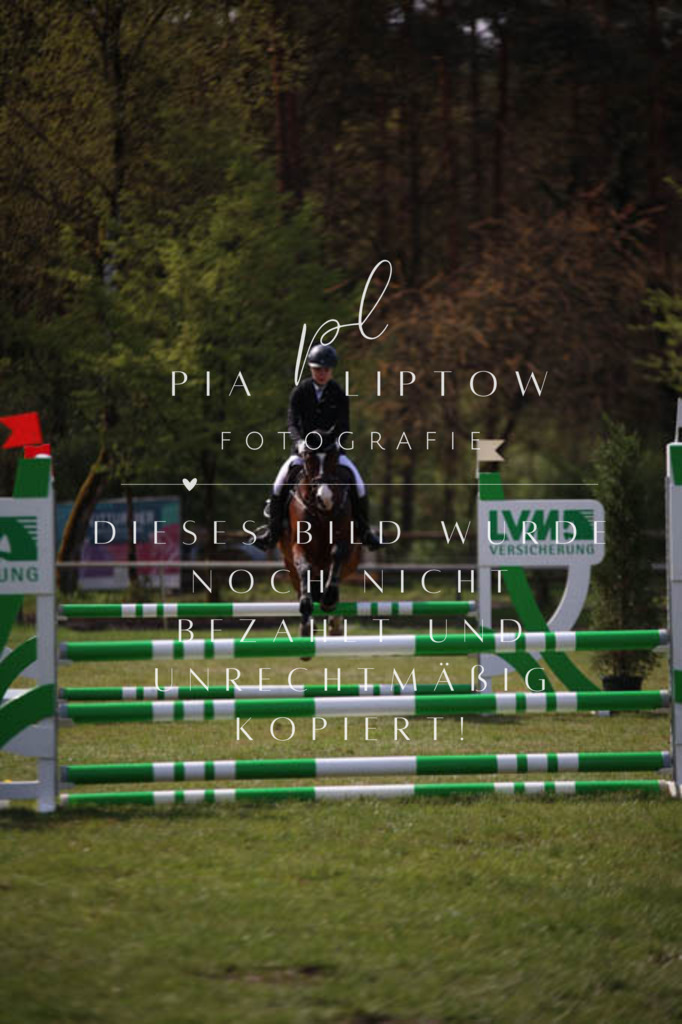 IMGT5329 | pl-fotografie