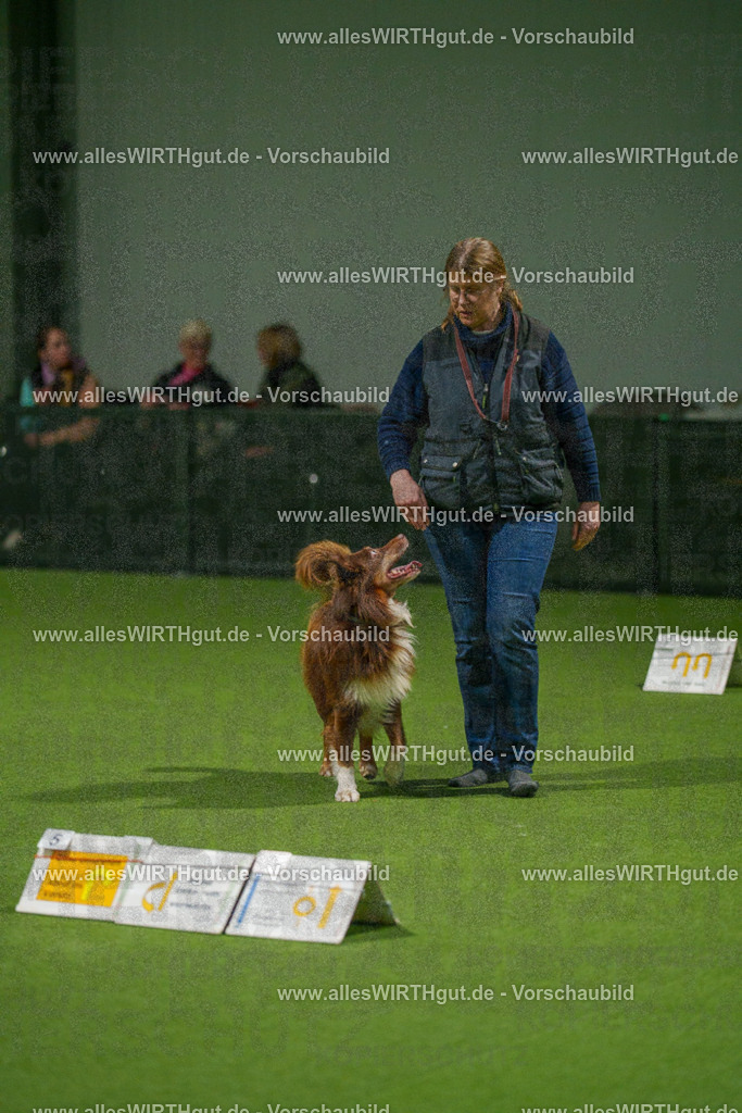 7R508889 | Professionelle Tierfotografie in Mönchengladbach von Daniel Wirth (allesWIRTHgut). Liebevolle & natürliche Bilder von Hunden & Katzen für unvergessliche Erinnerungen.