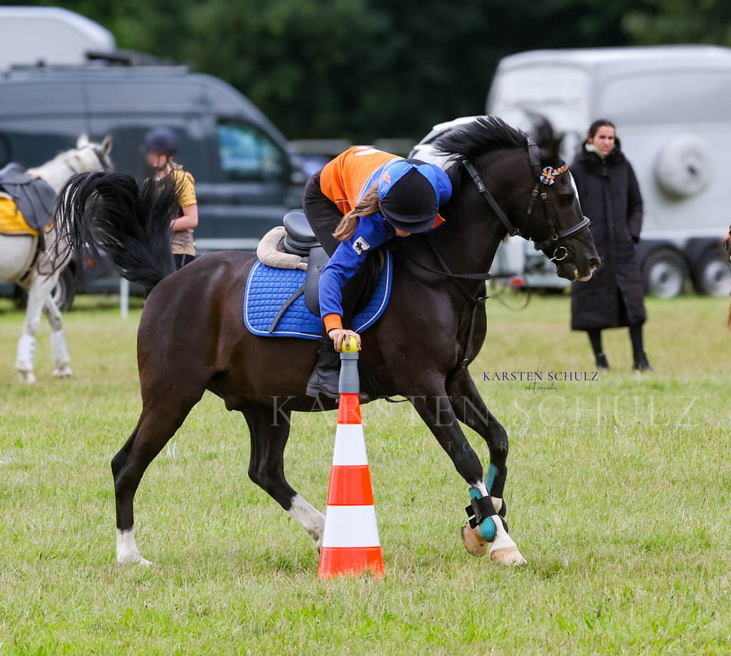 1B3A1608 | Reitsport Reiten