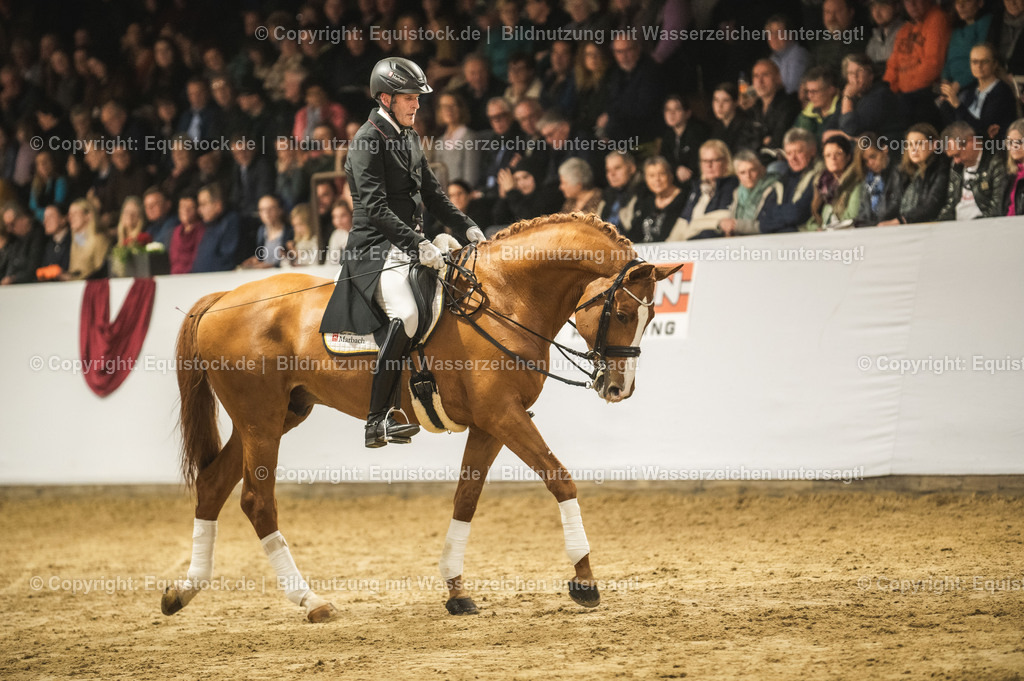 20240302_Hengstvorstellung_Marbach_TOMsPiC_0927-2 | equistock