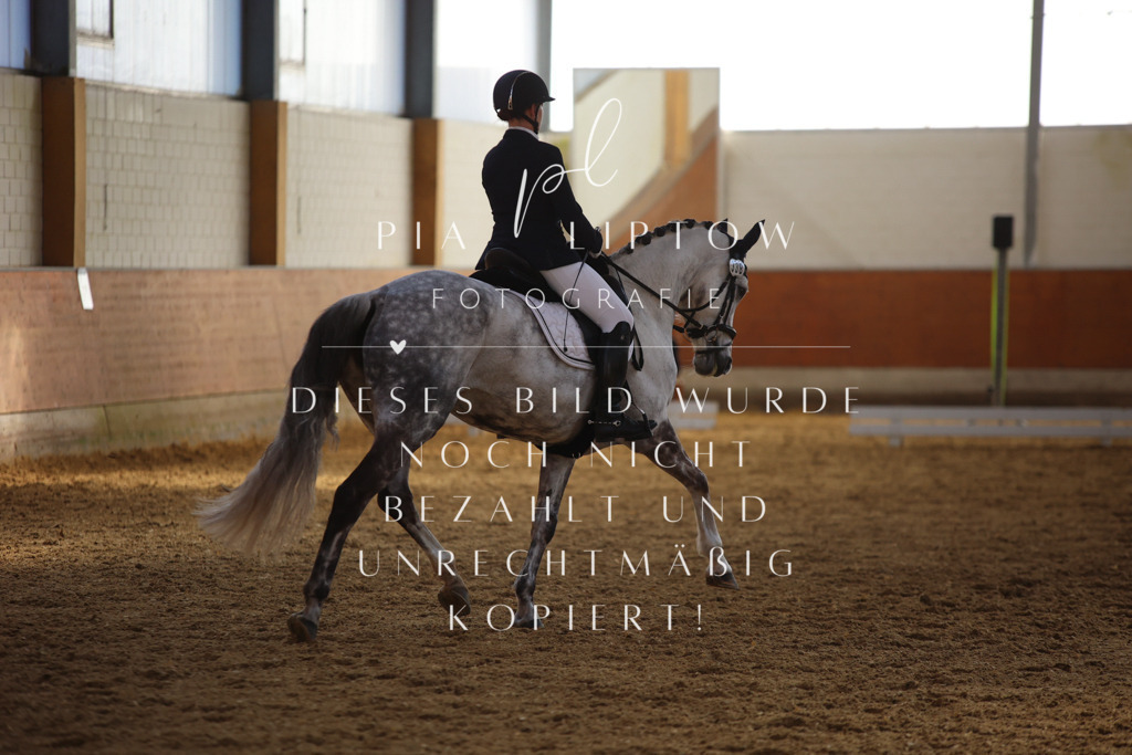 IMGT7140 | pl-fotografie