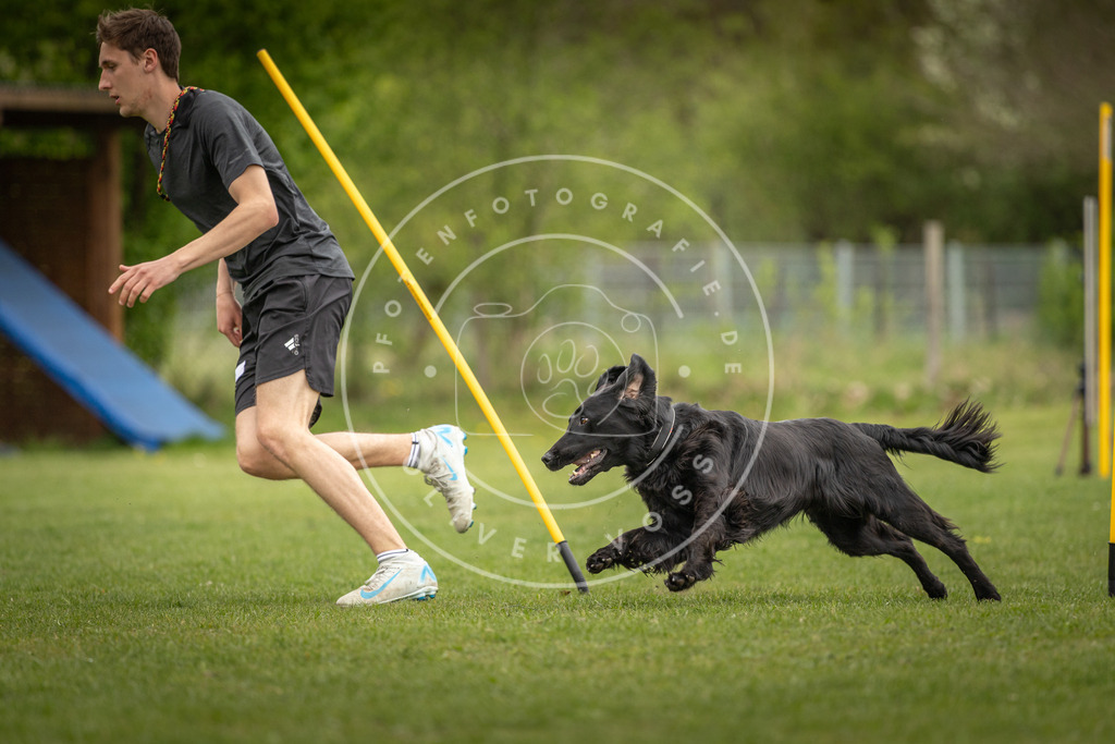Pfotenfotografie_DV3A9778 | Hundefotografie, Tierfotograf, Pfotenfotografie, Fotoshooting Hund, Hunde Portrait, Hundesport, Hundeportraits, Heideshooting, Hunde, Sportfotograf, Hundefotograf, Turnierhundsport, THS,  - Realisiert mit Pictrs.com