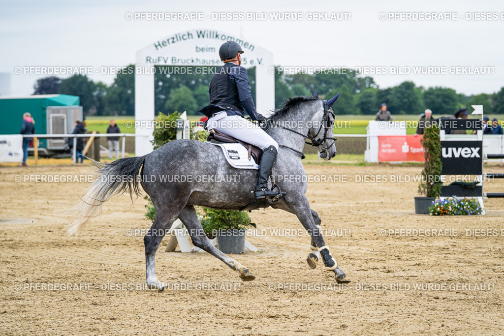 DSC06079 | Pferdegrafie