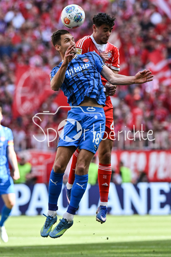 FC Bayern München - 1. FC Heidenheim | MUNICH, GERMANY - 02. MAI: im Duell Marvin PIERINGER (1. FC Heidenheim 18) und Aleksandar PAVLOVIC (FC Bayern Munich 45) während dem Bundesligamatch zwischen dem FC Bayern München und dem 1. FC Heidenheim am 32. Spieltag in der Allianz Arena / DFL REGULATIONS PROHIBIT ANY USE OF PHOTOGRAPHS AS IMAGE SEQUENCES AND/OR QUASI-VIDEO