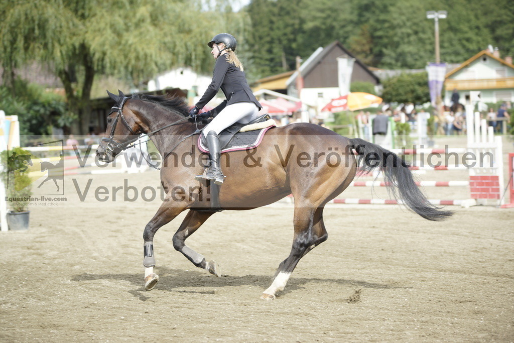 _DSC4372 | equestrian-live-com