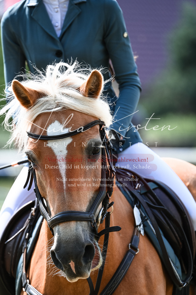 DSC_8799 | Pferde- und Turnierfotografie in Westsachsen. Pferdeportraits, Auftragszeichnungen und intuitive Kunst.