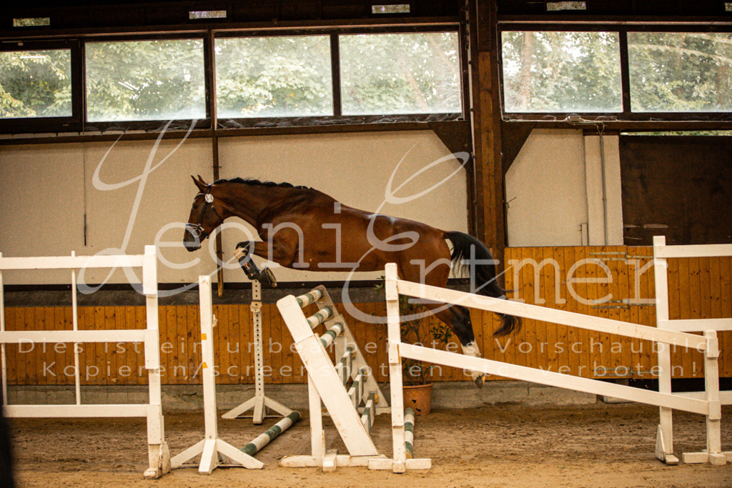 2FS_L00024 | Leoni Ertmer Photography - Realisiert mit Pictrs.com