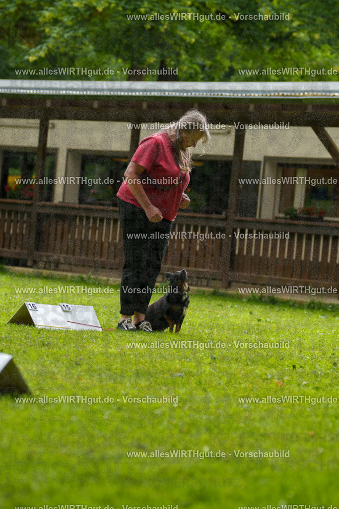 @allesWIRTHgut_Tierfotografie - www.allesWIRTHgut.de - 090323-7R506465 | Professionelle Tierfotografie in Mönchengladbach von Daniel Wirth (allesWIRTHgut). Liebevolle & natürliche Bilder von Hunden & Katzen für unvergessliche Erinnerungen.