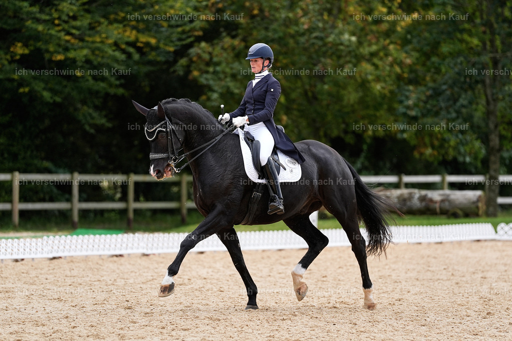 11-042-Dressur S___-StoibPH-1217 | working equitationturnier fotograf videograf stoibphotography marixx film working equitation deutschland reitsport turnierfotografie eventfotografie equestrian events
