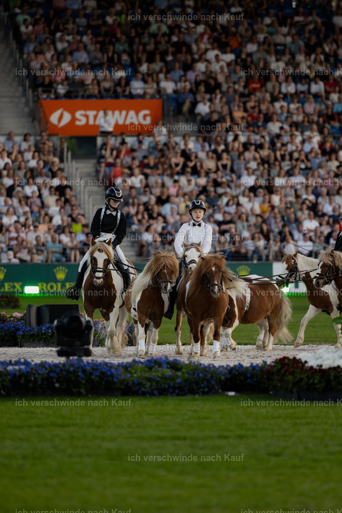 TSCHIO26_PferdundSinfonie_Stoibphotography_AM10805.jpg | working equitationturnier fotograf videograf stoibphotography marixx film working equitation deutschland reitsport turnierfotografie eventfotografie equestrian events