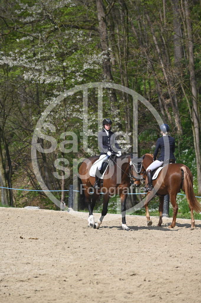 DSC_1024 | sattelsport - Realisiert mit Pictrs.com