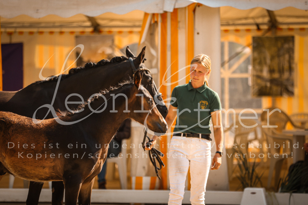 11.DoRP00058 | Leoni Ertmer Photography - Realisiert mit Pictrs.com