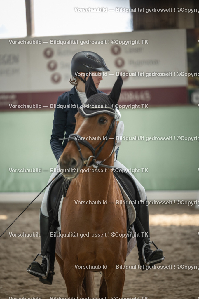 _D5A5843 | Emotionale Pferde- & People-Fotografie rund um Heidelberg, Leimen & Umgebung. Natürliche Fotos von Pferd, Mensch & Familie. Jetzt Termin sichern!