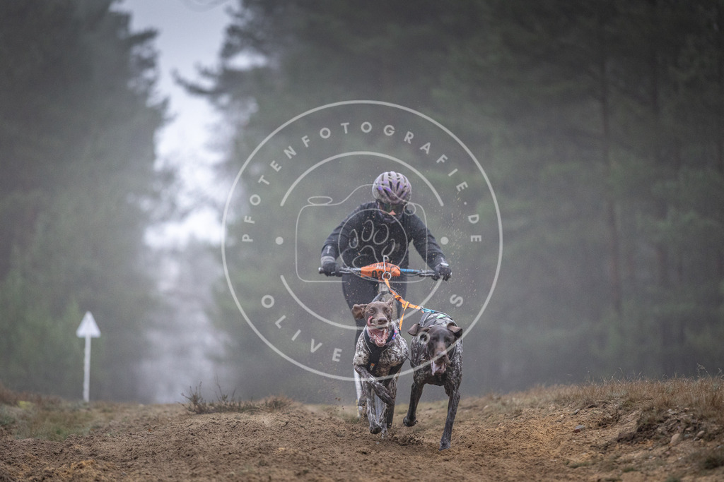 Pfotenfotografie_DV3A0723 | Hundefotografie, Tierfotograf, Pfotenfotografie, Fotoshooting Hund, Hunde Portrait, Hundesport, Hundeportraits, Heideshooting, Hunde, Sportfotograf, Hundefotograf, Turnierhundsport, THS,  - Realisiert mit Pictrs.com