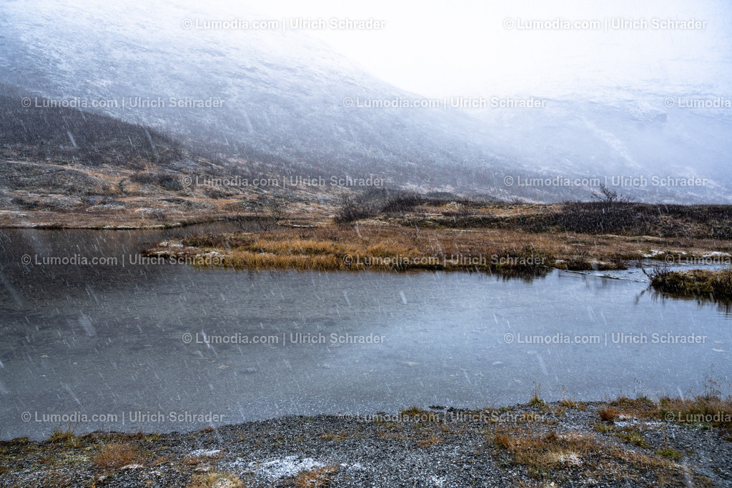 10047-10028 - Am Geirangerfjord - Norwegen | Stockfoto und Bilderpool mit Bildmaterial aus Deutschland, dem Harz, Halberstadt, Quedlinburg, Wernigerode und weltweit. Qualitativ hochwertige und professionelle Fotos anschauen und kaufen. - Realisiert mit Pictrs.com