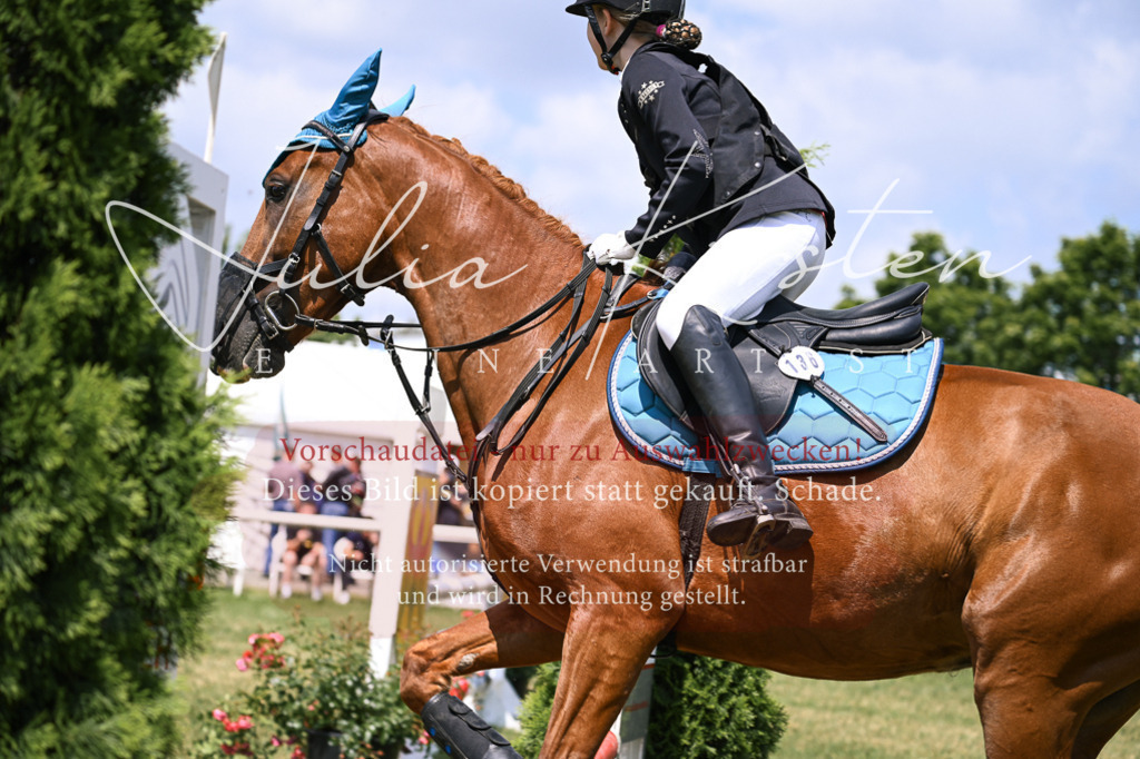 DSC_9261 | Pferde- und Turnierfotografie in Westsachsen. Pferdeportraits, Auftragszeichnungen und intuitive Kunst.