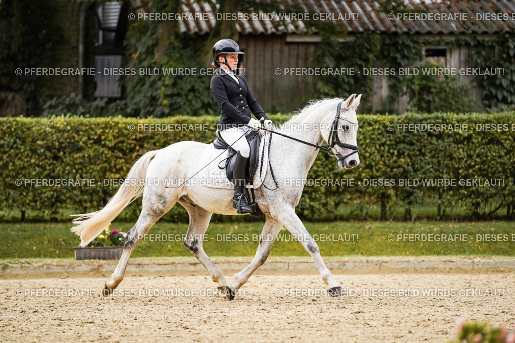 DSC07755 | Pferdegrafie