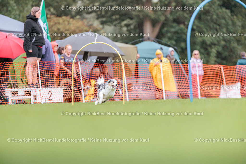 BSP Hoopers-H2-2026-Nickbest-Hundefotografie-TuS Komet Arsten e.V.-3776 | Dein Hund! Dein Moment! Deine Erinnerungen! Hundefotografie in Bremen Blumenthal. Ich fange die besonderen Momente deines Vierbeiners ein – ob Indoor mit Blitzanlage oder in der freien Natur. Sicher dir dein Moment und dein Termin für eure Erinnerungen.