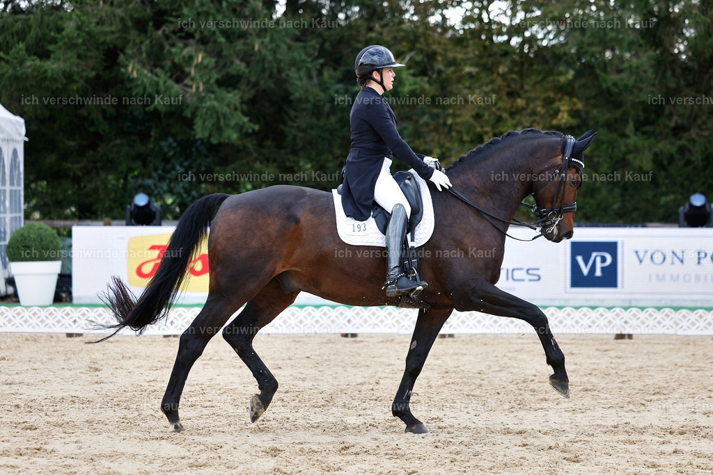 10-193-ST.GEORG SPECIAL -StoibPH-3243 | working equitationturnier fotograf videograf stoibphotography marixx film working equitation deutschland reitsport turnierfotografie eventfotografie equestrian events