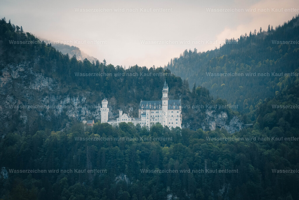 DSC05885 | FramedWorld - Realisiert mit Pictrs.com