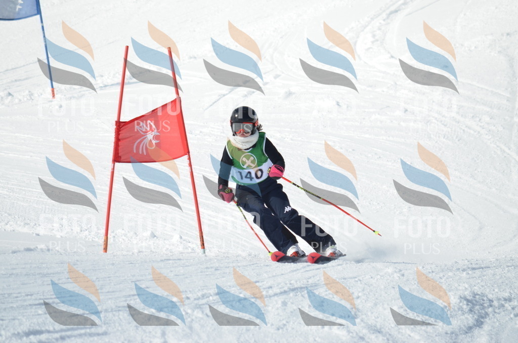 D8916 | holidayphoto