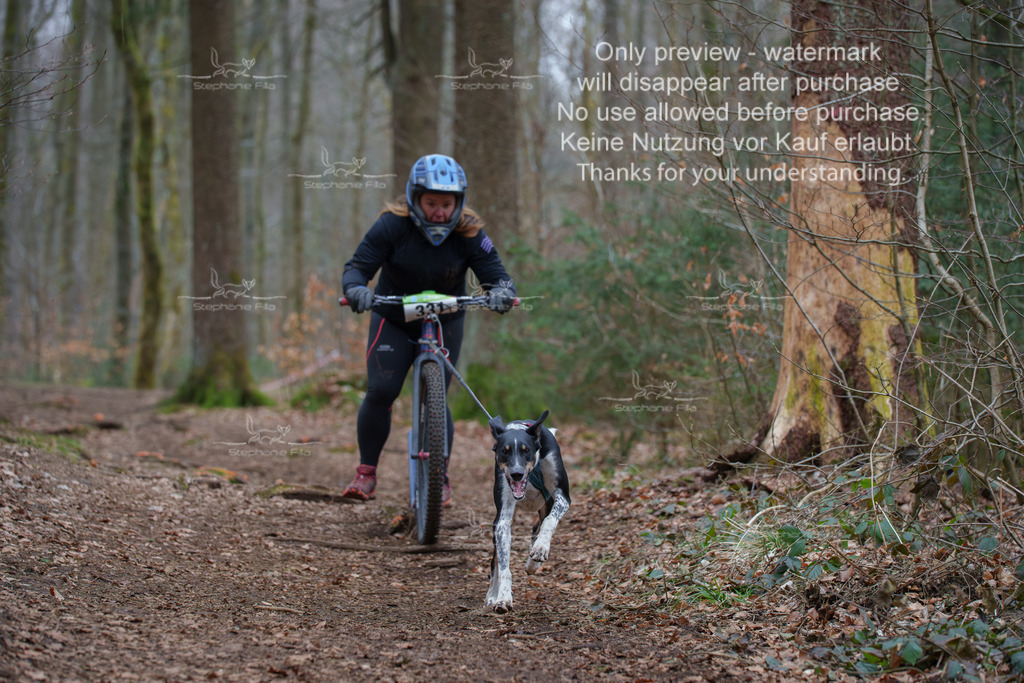 Scooter_So-121 | stephaniefillaphotographie - Realisiert mit Pictrs.com