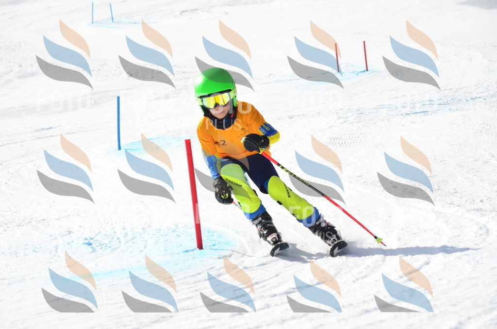 C8003 | holidayphoto