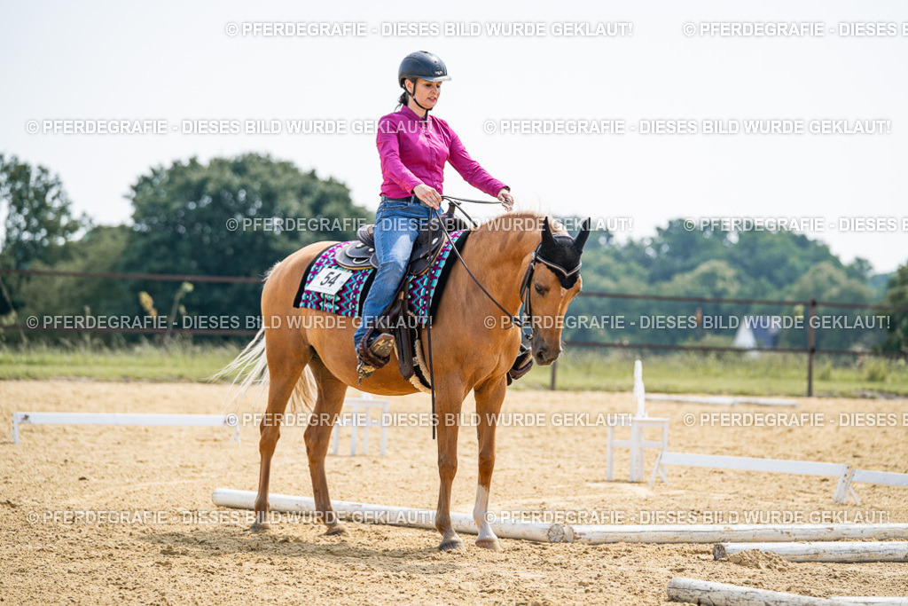 DSC00334 | Pferdegrafie