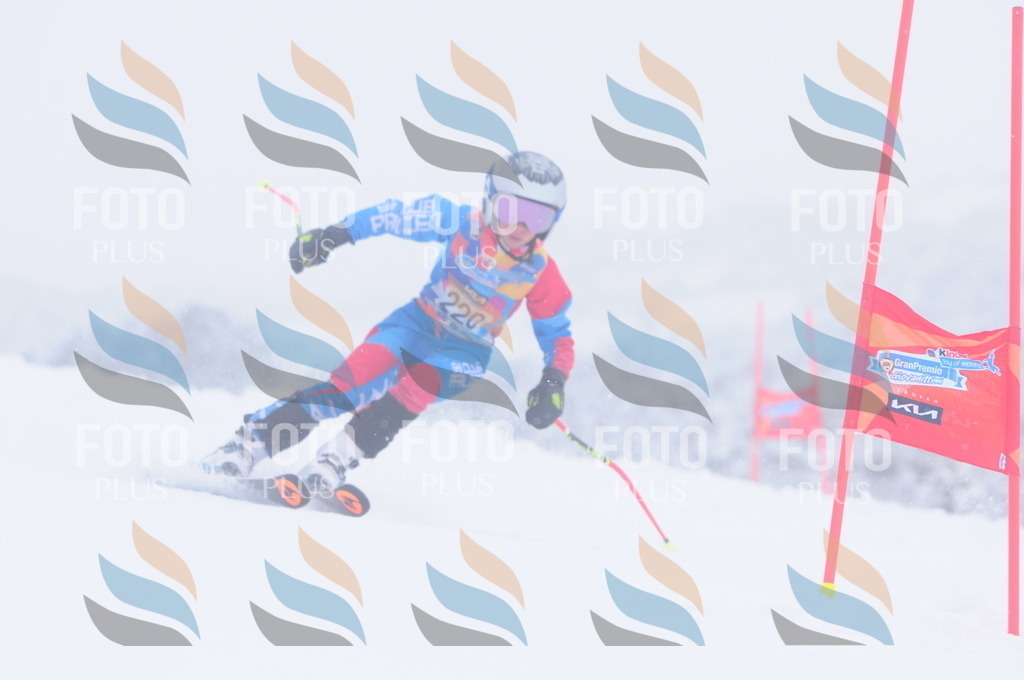 C2340 | holidayphoto