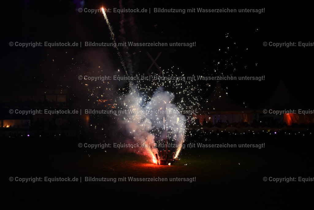 20230526_Pferdenacht_1628 | equistock
