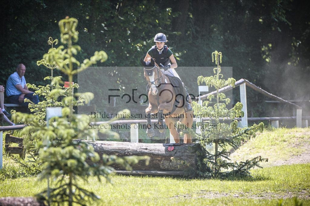 DOS_7482 | Entdecke hochwertige Reitturnierfotos von Foto Oger. Professionell, emotional und authentisch – jetzt Lieblingsmomente im Shop bestellen. - Realisiert mit Pictrs.com