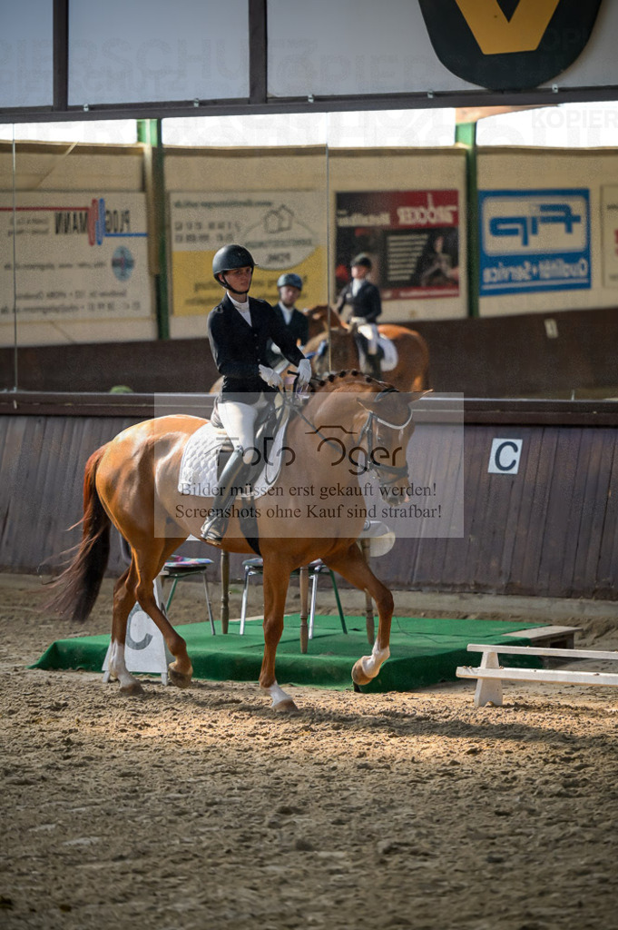 Reitturnier Voxtrup | Entdecke hochwertige Reitturnierfotos von Foto Oger. Professionell, emotional und authentisch – jetzt Lieblingsmomente im Shop bestellen.Deutschlandweite Turnierfotografie. - Realisiert mit Pictrs.com