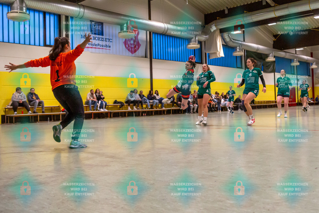 _HP_6632_3000o | TV Welling Damen vs. HSG ObereNahe 04.02.2024
