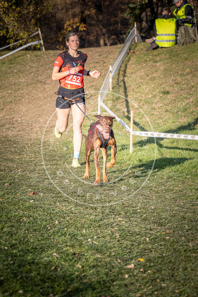 CaniXpix_0L8A9902 | Hundefotografie, Tierfotograf, Pfotenfotografie, Fotoshooting Hund, Hunde Portrait, Hundesport, Hundeportraits, Heideshooting, Hunde, Sportfotograf, Hundefotograf, Turnierhundsport, THS,  - Realisiert mit Pictrs.com