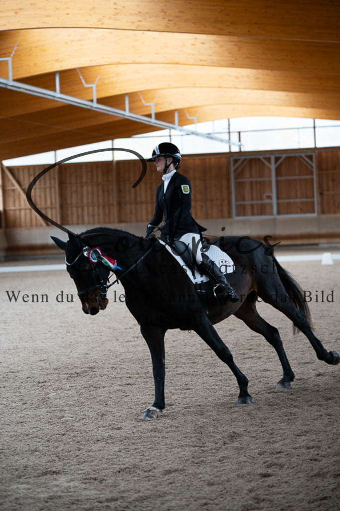 A7V02530 | Pferdefotograf