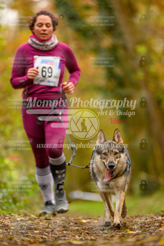MompixPhotography_Bischwiller24_SA_Canicross-188 | mompixphotography