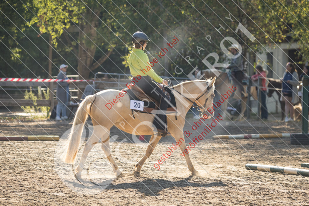 IMG_6299 | Sport-, Event- und Tierfotos in Profiqualität. Einfach auswählen, bestellen und herunterladen. Dein Moment – perfekt festgehalten.