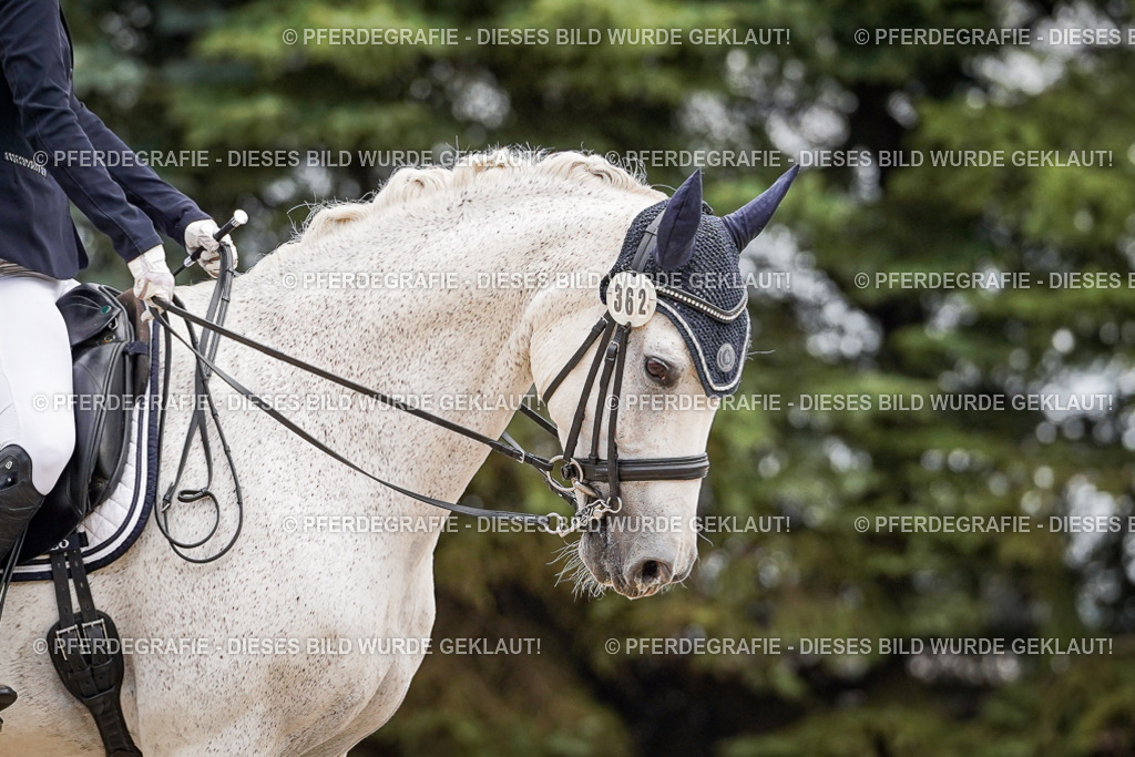 DSC02807 | Pferdegrafie