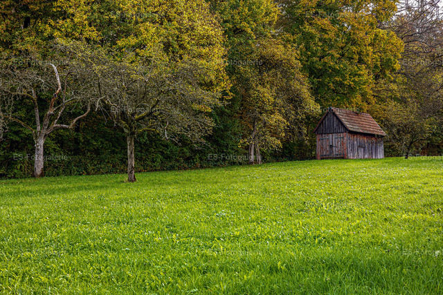 Herbst im Oktober