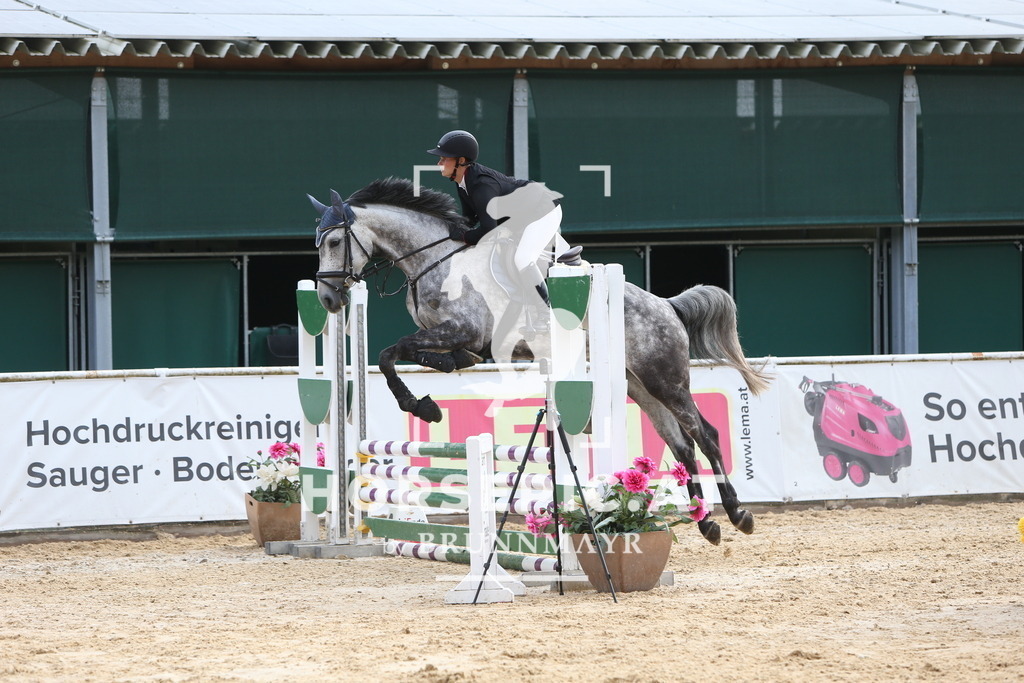 DL2Q0545 | Willkommen bei Brunnmayr - Design & Fotografie – Ihrem Spezialisten für Reitturniere und Pferdeveranstaltungen in Oberösterreich, Salzburg und Bayern! Seit über 17 Jahren sind wir leidenschaftlich dabei.