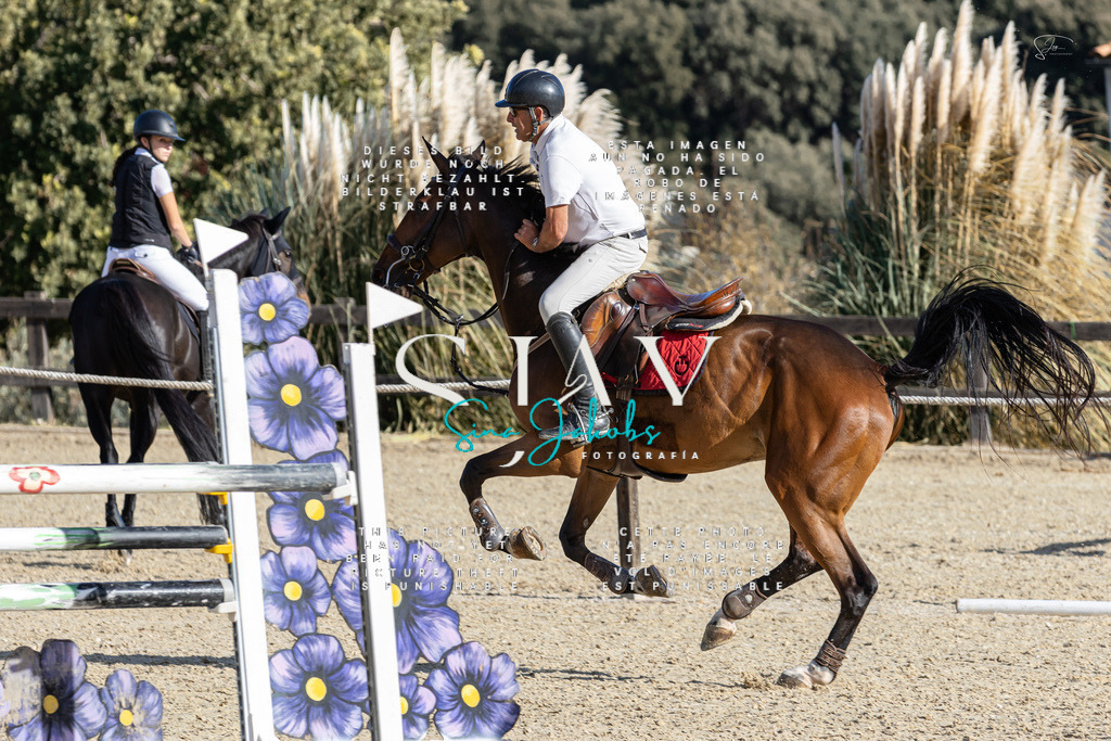 IMG_0073 | s-jay-photography - Realisiert mit Pictrs.com