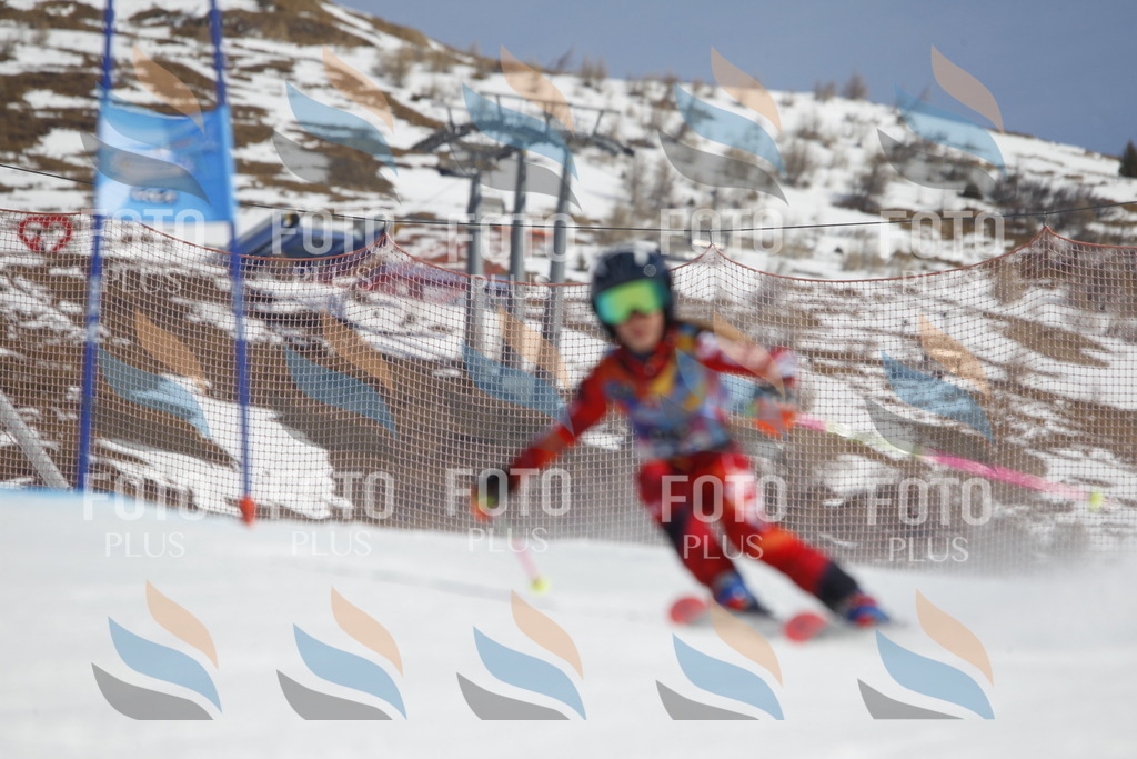 _U3G0391 | holidayphoto