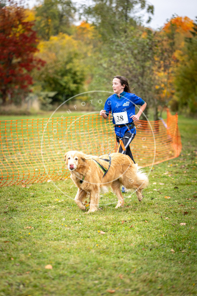 Pfotenfotografie_DV3A2244 | Hundefotografie, Tierfotograf, Pfotenfotografie, Fotoshooting Hund, Hunde Portrait, Hundesport, Hundeportraits, Heideshooting, Hunde, Sportfotograf, Hundefotograf, Turnierhundsport, THS,  - Realisiert mit Pictrs.com