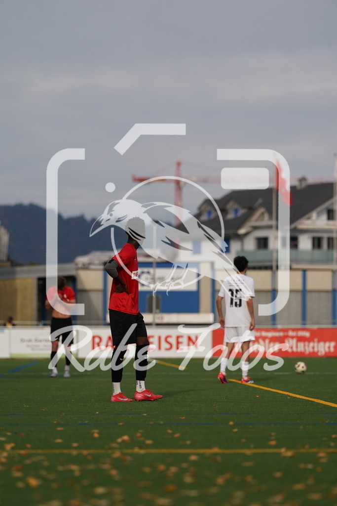 DSC00120 | rabefotos