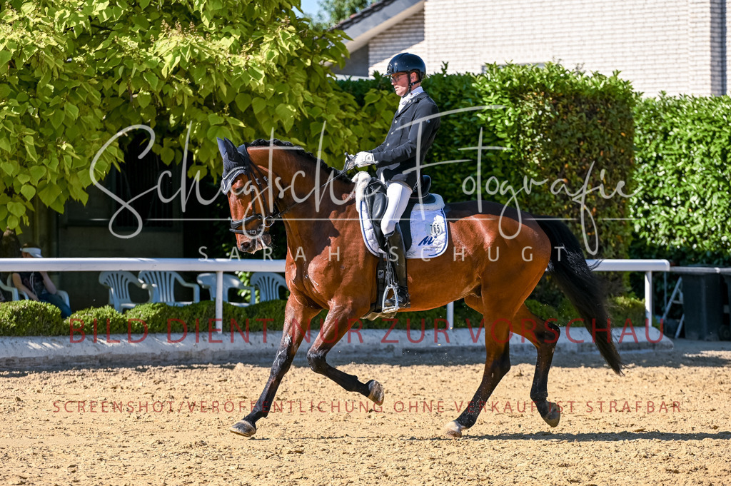 Schugtsche-Aluta25-50.Dressurpferdeprf.L-259 | Schugtsche Fotografie - Realisiert mit Pictrs.com